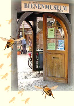 Eingang-Bienenmuseum